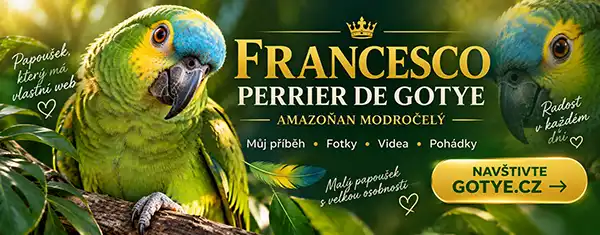 perrier perrier